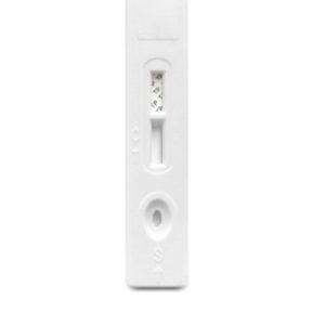 Treponema pallidum / Syphilis